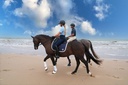 HV Polo Tech Shirt Maureen