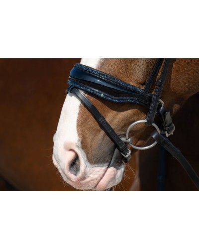 HB Showtime Hoofdstel It is So Special Zwart/Blauw