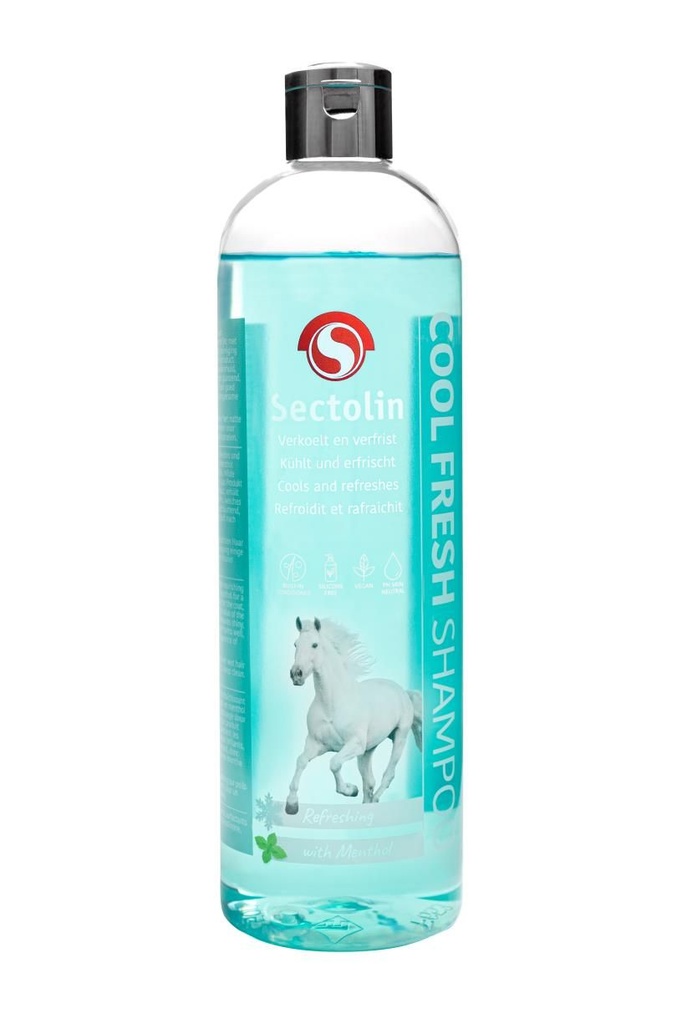 Cool Fresh Shampoo