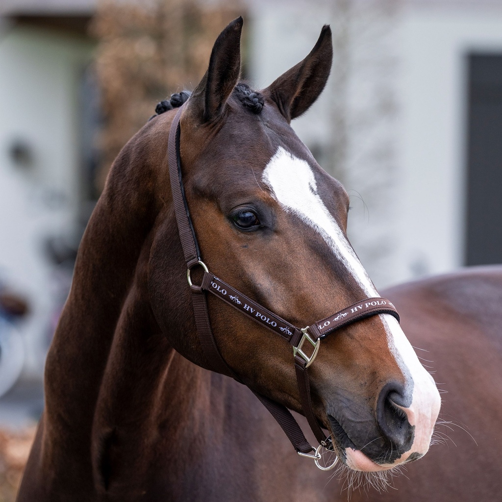 HV Polo Halster Nena Brown